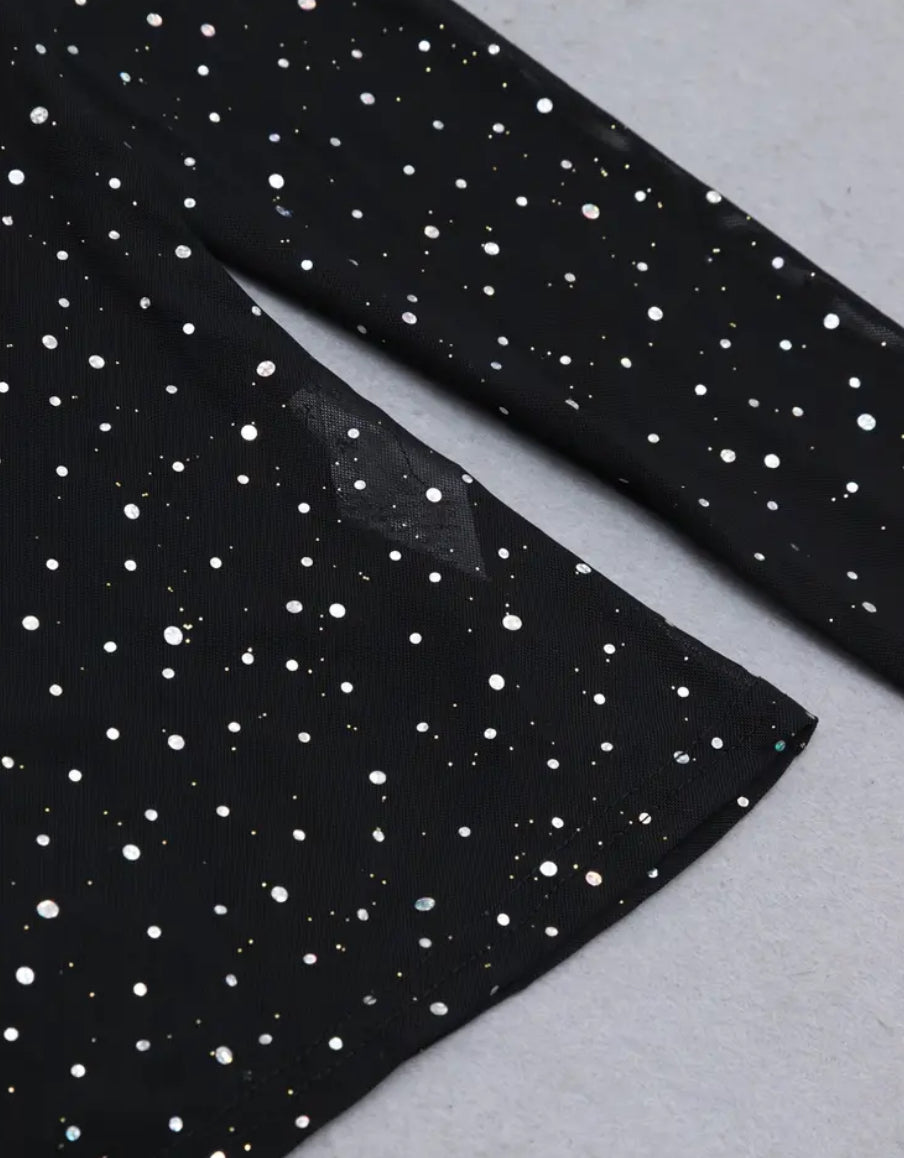 Sequin-Embellished Sheer Long Sleeve Tee.