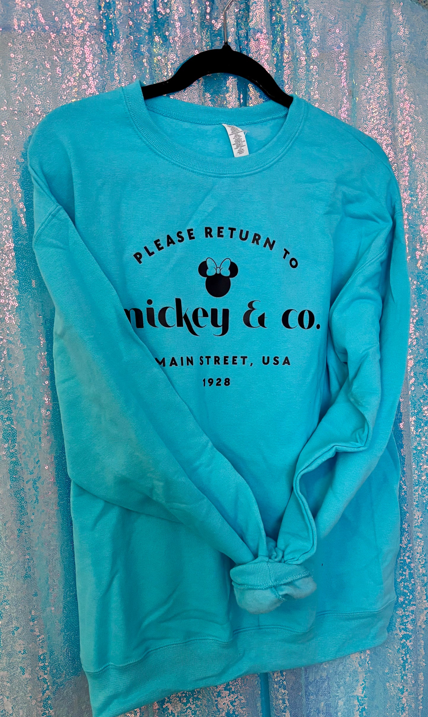 Return to Mickey & CO sweatshirt