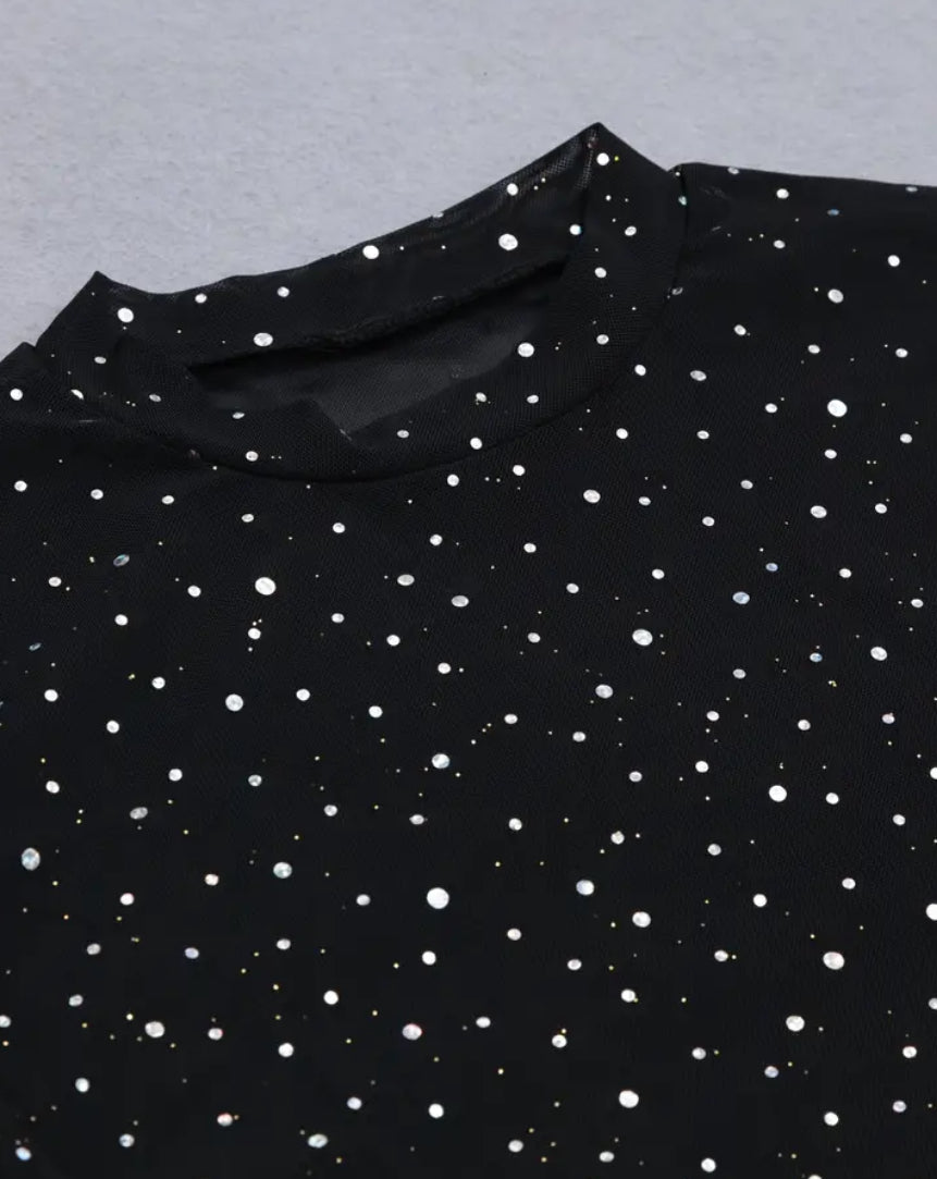 Sequin-Embellished Sheer Long Sleeve Tee.